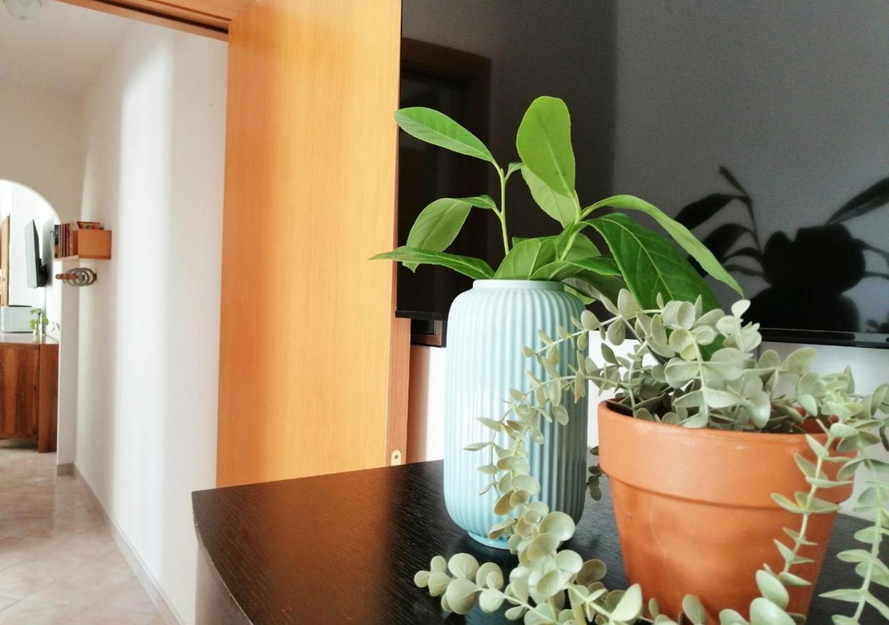 Holihome Il Giardino Dei Limoni Tortoreto Dış mekan fotoğraf